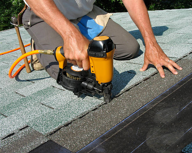 Best Roof Gutter Cleaning  in Hamton, IL