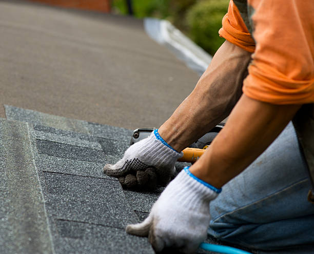 Best New Roof Installation  in Hamton, IL