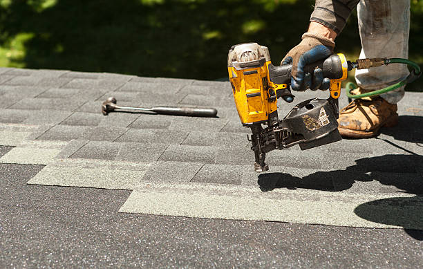 Best Local Roofing Companies  in Hamton, IL