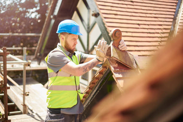 Best Metal Roofing Contractor  in Hamton, IL